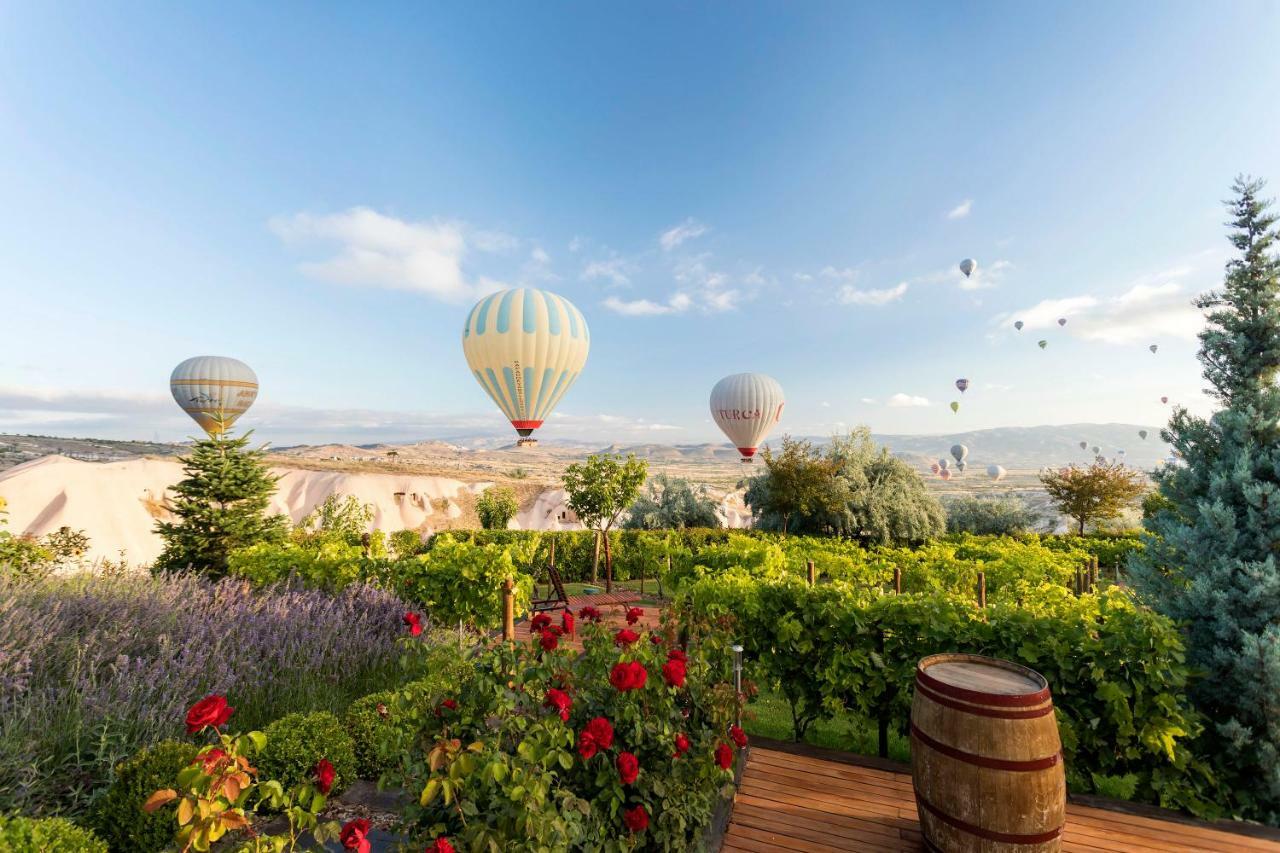 אוצ'יסר Ariana Sustainable Luxury Lodge - Special Category - Cappadocia מראה חיצוני תמונה