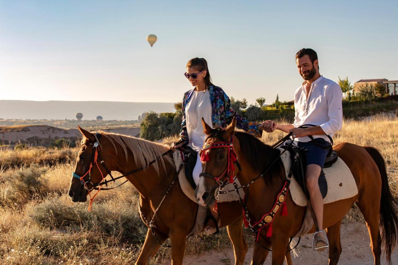 אוצ'יסר Ariana Sustainable Luxury Lodge - Special Category - Cappadocia מראה חיצוני תמונה